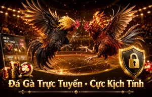Giao diện Đá Gà DAGA